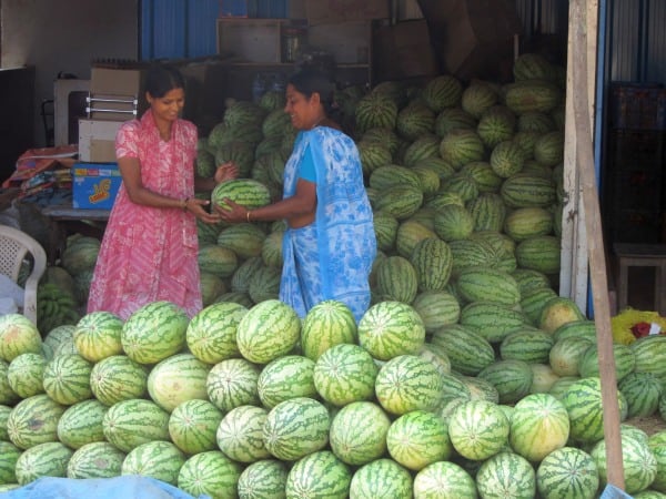 indien-066