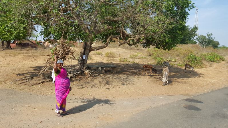indien-201