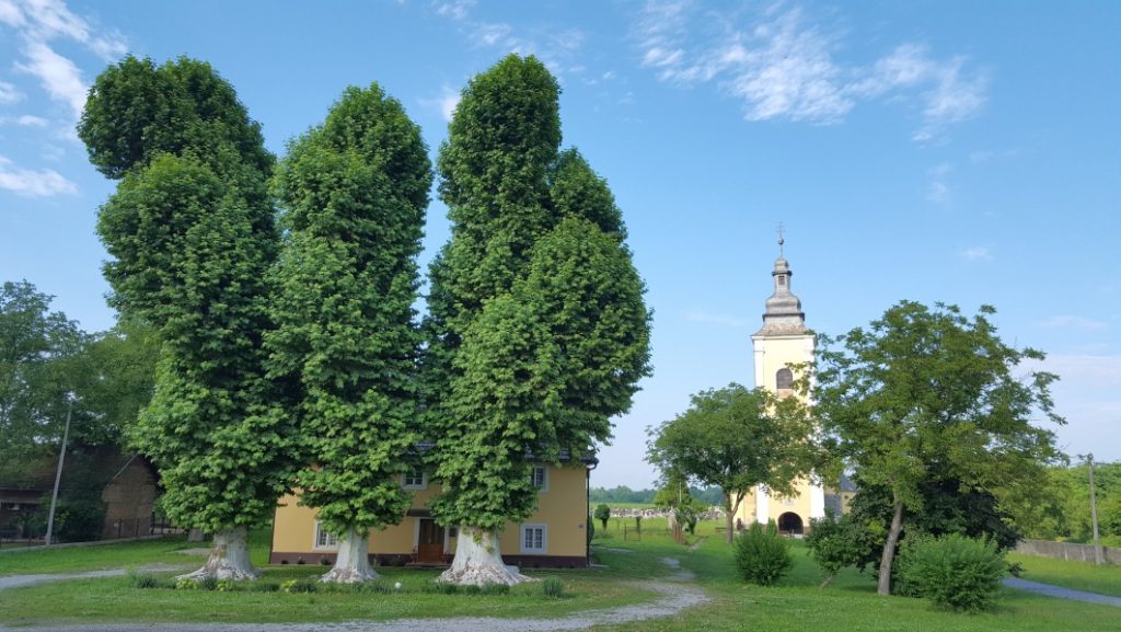 unterwegs nach Cigoc